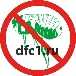 Уничтожение блох в Череповце