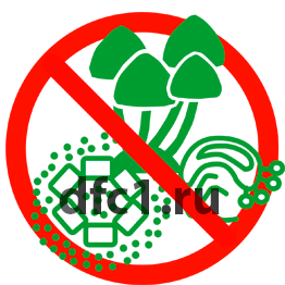 Обработка от плесени в Череповце