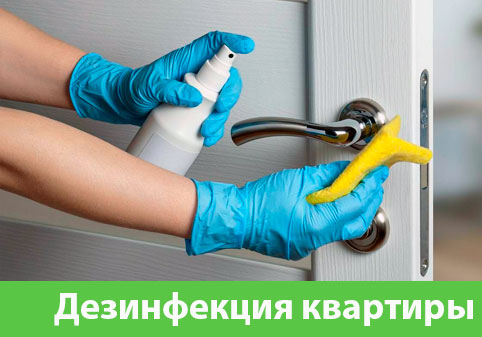 Дезинфекция квартиры в городе Череповец