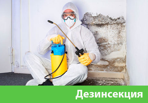Дезинсекция в городе Череповец