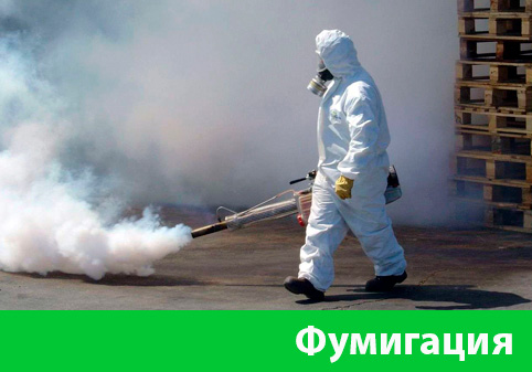 Фумигация в городе Череповец