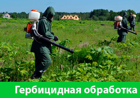 Гербицидная обработка в городе Череповец