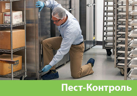 Пэст-Контроль в городе Череповец