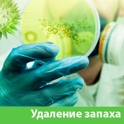 Удаление запахов в Череповце