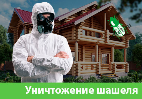 Уничтожение шашеля и личинок в Череповце