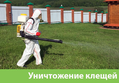 Уничтожение клещей в городе Череповец