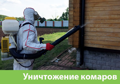 Уничтожение комаров в городе Череповец